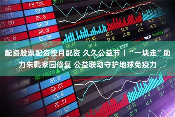 配资股票配资按月配资 久久公益节丨“一块走”助力朱鹮家园修复 公益联动守护地球免疫力