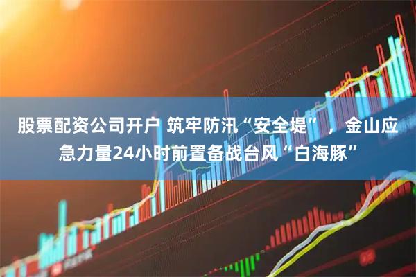 股票配资公司开户 筑牢防汛“安全堤” ，金山应急力量24小时前置备战台风“白海豚”